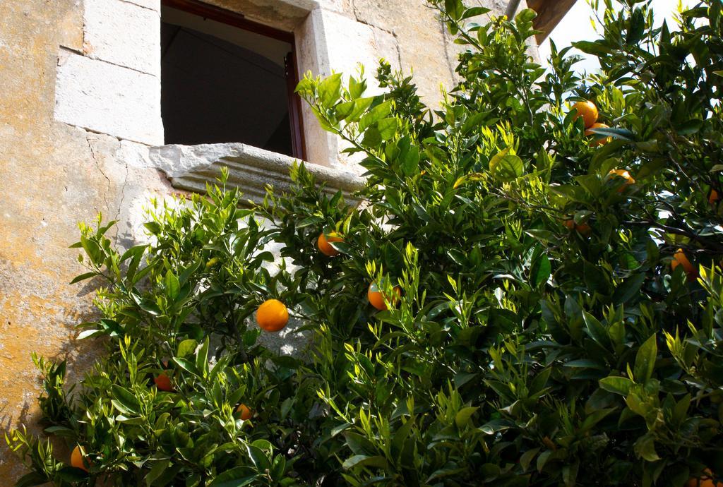 Apartamentos En La Rectoria De Regencos ภายนอก รูปภาพ